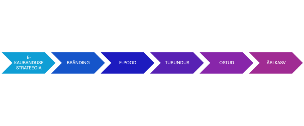 e-kaubanduse strateegia, turundus, ostud, äri kasum, nimini, bränding, e-poe tegemine, koduleht